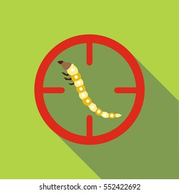 Beetle larvae icon. Flat illustration of beetle larvae vector icon for web