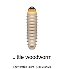 Icono vector de gusano de madera escarpado. Icono vector realista aislado en escarabajo de fondo blanco pequeño gusano de madera.