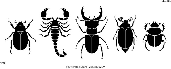 Beetle logo. Isolated beetle on white background