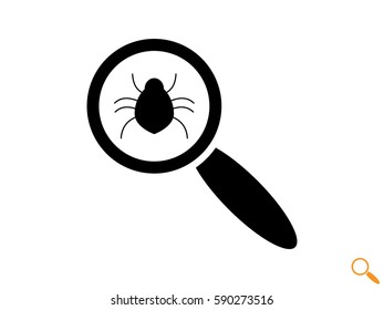 beetle, magnifier, icon, vector illustration eps10