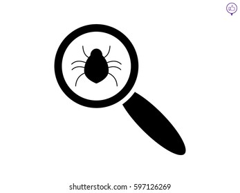 beetle, magnifier, icon, vector illustration eps10