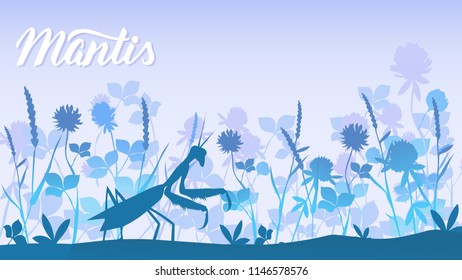 Beetle mantis among the grass background. Life of insects in the wild illustration. Beauty macro world 