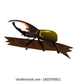 A beetle on a branch.Vector illustration isolated on white background.