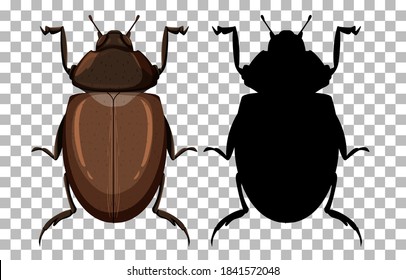 Beetle on transparent background illustration