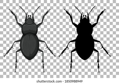 Escarabajo en ilustración transparente de fondo