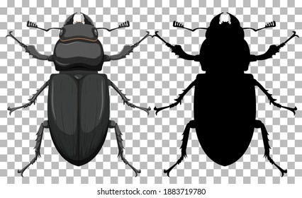 Beetle on transparent background illustration