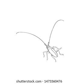 beetle. one line. vector image of an insect. the image of a beetle tattoo