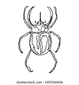 Beetle outline, black lines, vector, no background.