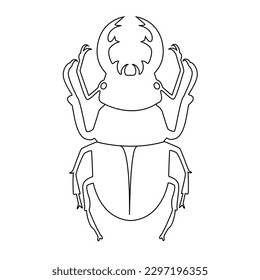 Beetle outline Drawn with Black stroke