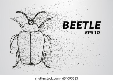 Beetle of the particles. Beetle consists of small circles and dots. Vector illustration