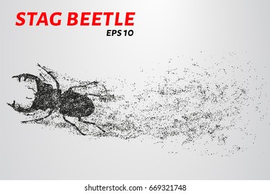 Beetle of the particles. Beetle consists of small circles and dots. Vector illustration.
