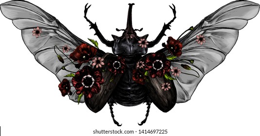 beetle Rhino in red top view with wings, sketch vector graphic color illustration on white background