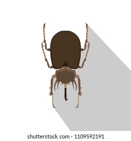 Beetle rhinoceros above vector bug rhino illustration silhouette nature insect isolated top view