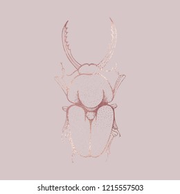 Beetle. Rose gold texture. Elegant vector stock illustration