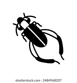 Beetle Sagra Glyph Icon, Vector illustration
