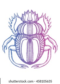 Beetle. Scarab. The stylized insect. Line art. Black and white drawing by hand. Doodle. Tattoo. Ornamental.