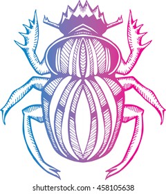 Beetle. Scarab. The stylized insect. Line art. Black and white drawing by hand. Doodle. Tattoo. Ornamental.
