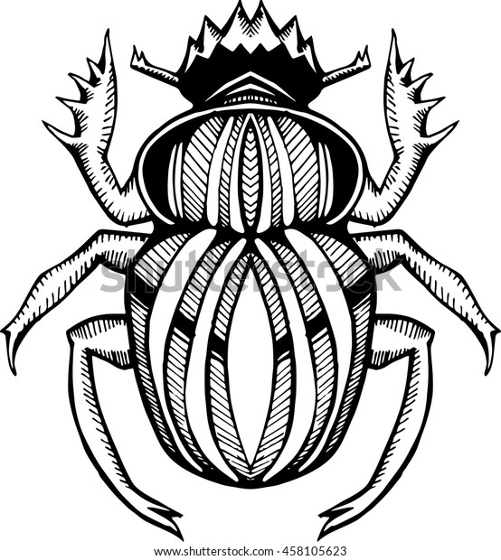 Beetle Scarab Stylized Insect Line Art Stock Vector (Royalty Free ...