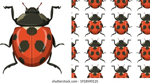 Beetle and seamless background illustration