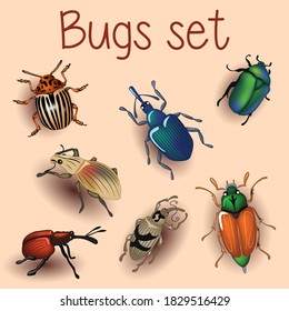 Beetle, set with beetles, Colorado potato beetle, bronze beetle, bug, weevil beetle