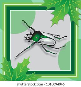 Beetle with shadow and green leaf on grey background. Realistic insect with a gray back. Vector illustration