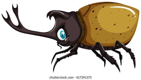 Beetle with sharp horn illustration