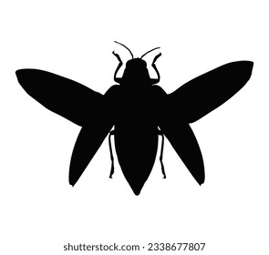 Silueta de escarabajo, insectos, fondo blanco, vector, aislado
