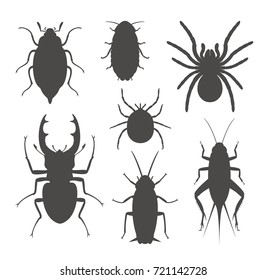 Beetle silhouette. Isolated beetle on white background