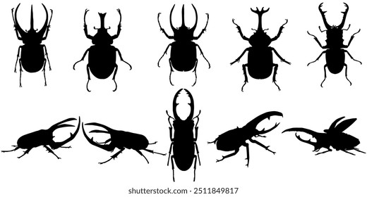 Beetle silhouette set vector design