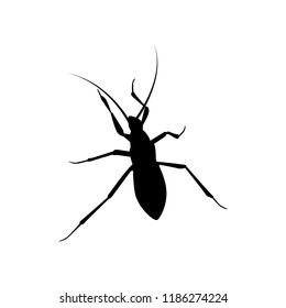 Beetle silhouette vector. Insect in black and white concept.