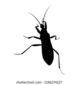 Beetle silhouette vector. Insect in black and white concept.