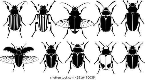 Beetle silhouette vector set, insect species collection, black and white bug illustrations, entomology icons, biological diversity, detailed beetle morphology pack