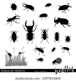 Beetle silhouettes and nature scenes. Vector illustration.