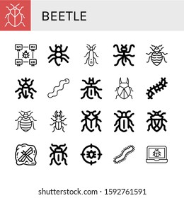 beetle simple icons set. Contains such icons as Stink bug, Bug, Ant, Stonefly, Mantis, Bed bug, Weevil, Worm, Beetle, Scolopendra, Insect, can be used for web, mobile and logo