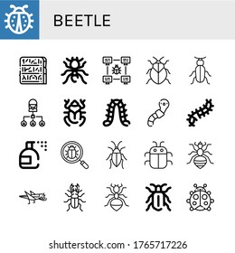 beetle simple icons set. Contains such icons as Ladybug, Egypt, Pheidole, Bug, Stink bug, Beetle, Caterpillar, Worm, Scolopendra, Insecticide, can be used for web, mobile and logo