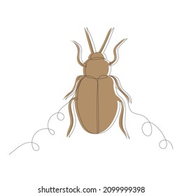 beetle, sketch, contour line, vector