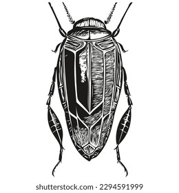 beetle sketch, hand drawing of wildlife, vintage engraving style, vector illustration beetles
