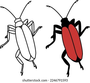 Beetle sketch for kids coloring book. Insect vector illustration