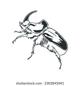 Beetle sketch vector 5 isolated.