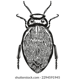 beetle sketchy, graphic portrait of a beetle on a white background, beetles
