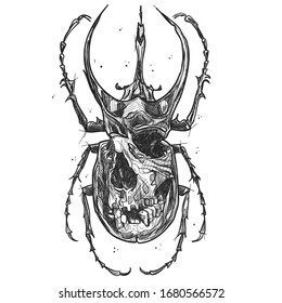 Death Beetle Skull Silhouette Royalty Free Vector Ima - vrogue.co