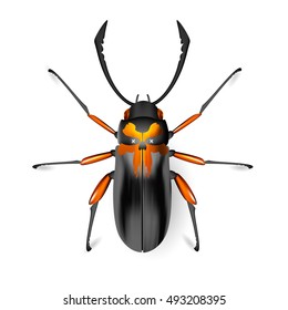 Beetle skull. Insect icon. Pads. Vector. Arthropod