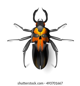 Beetle skull. Insect icon. Pads. Vector. Arthropod