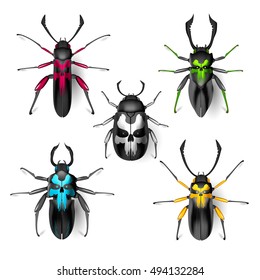 Beetle skull set. Insect icon. Pads. Vector. Arthropod