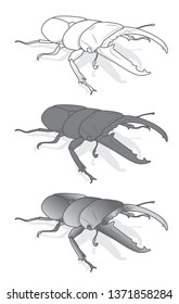 beetle, stag beetle illustration