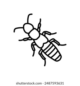Beetle Staphylinus Outline Icon, Vector illustration
