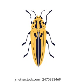 Beetle, striped pattern, antenna, top view. Forest bug, summer insect. Semiotus imperialis species, garden fauna. Flat graphic vector illustration isolated on white background