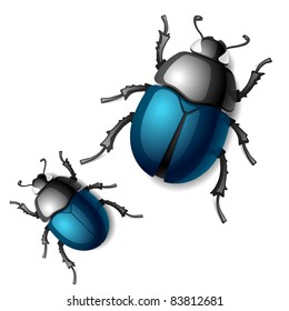 Beetle. Vector.