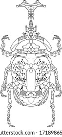 Beetle Vector Animal Outline Style Illustration