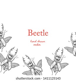 Beetle .Vector background with hand drawn insects illustrations.  Entomological seamless pattern. 